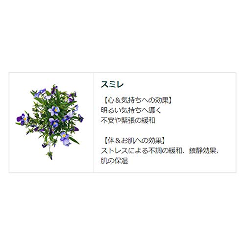 Amazon | 【クナイプ公式】クナイプ バスソルト スミレの香り 850g